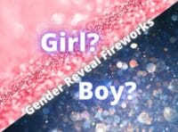 Gender Reveal Fireworks